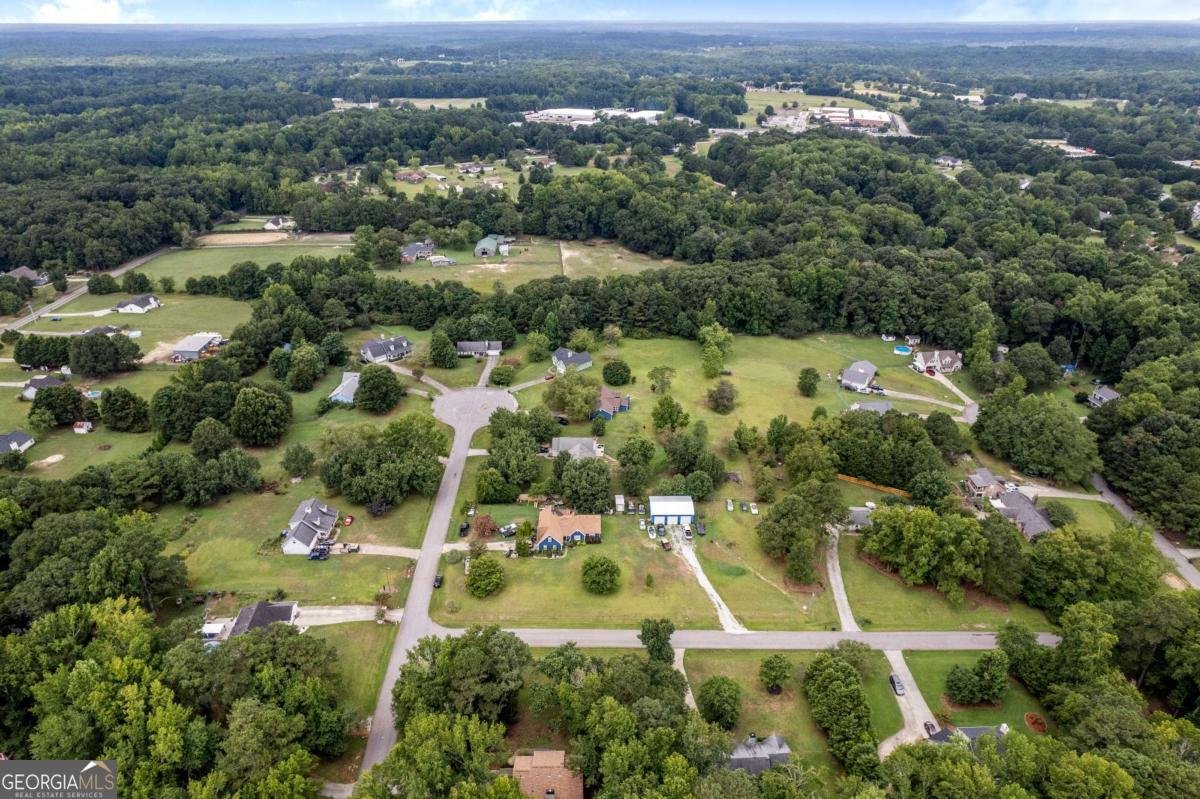 1729 Brandi Lane Loganville - 33