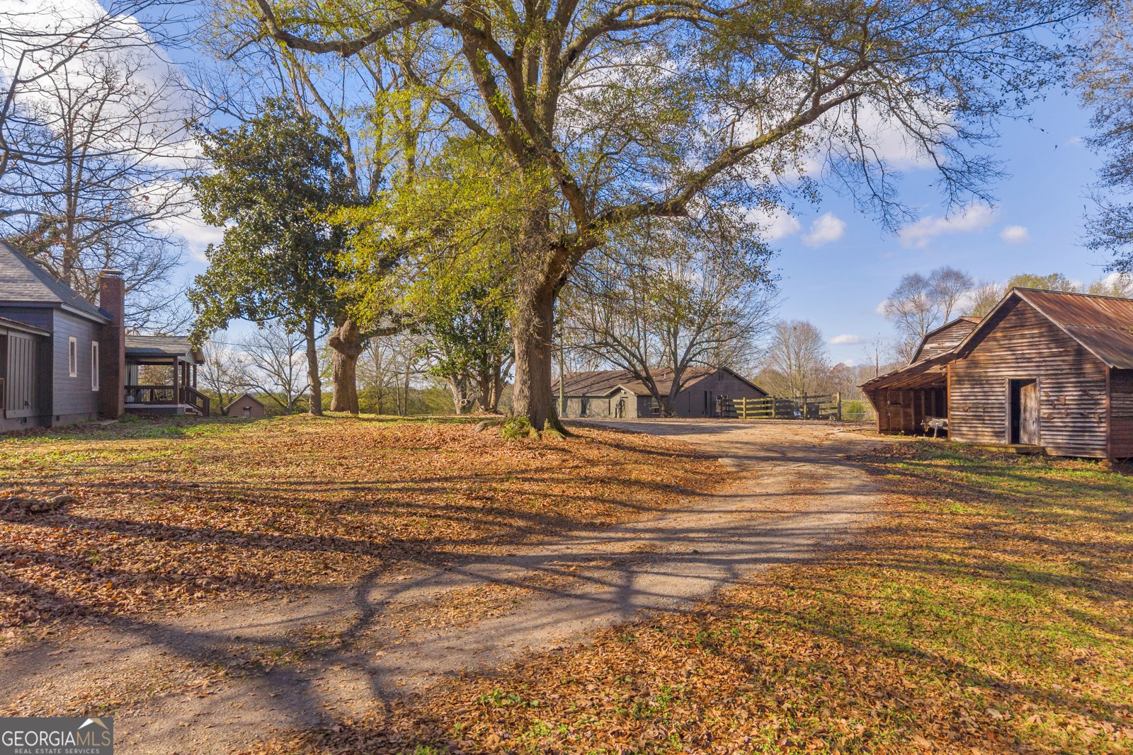 586 Grady School Road Canon - 10