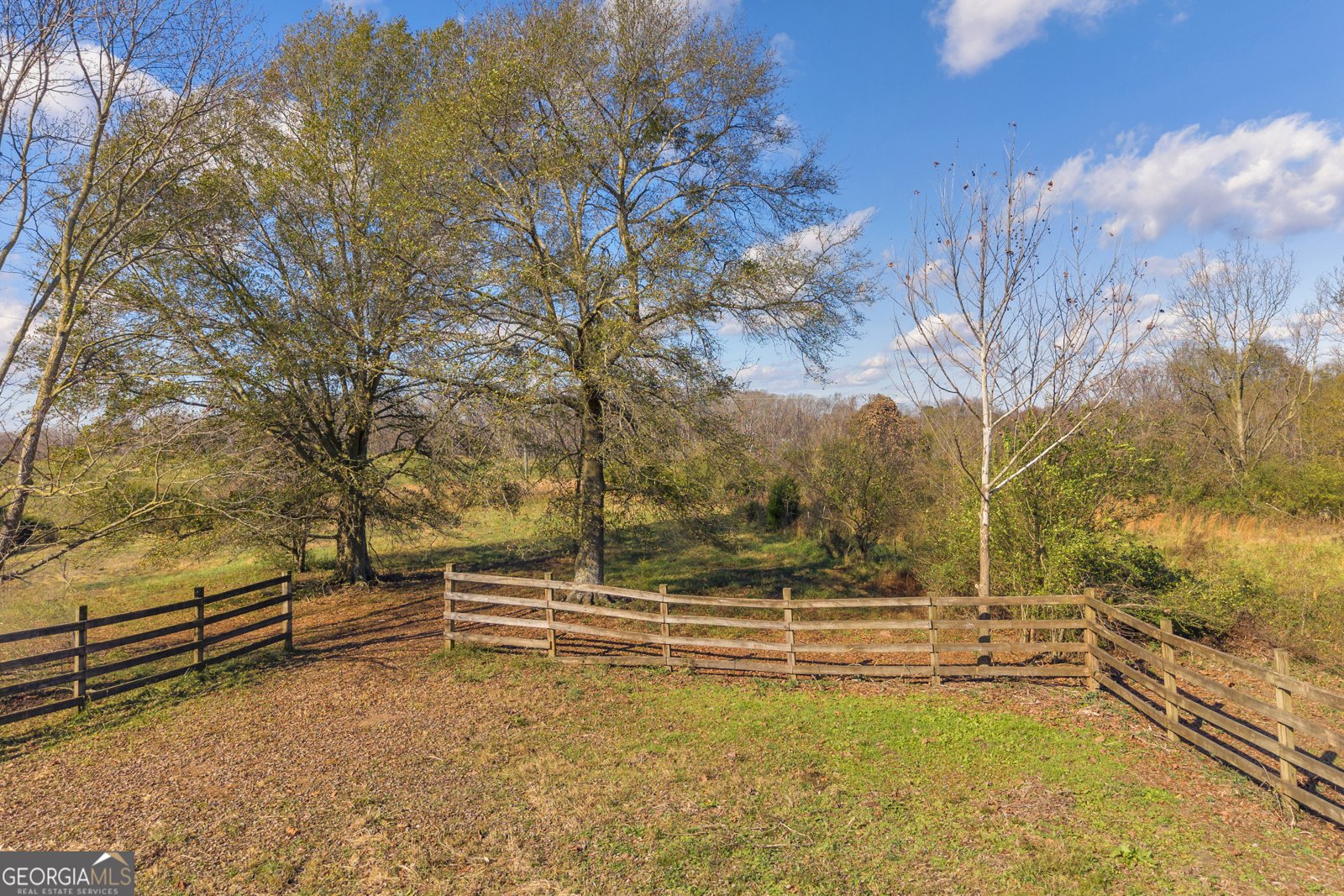 586 Grady School Road Canon - 107