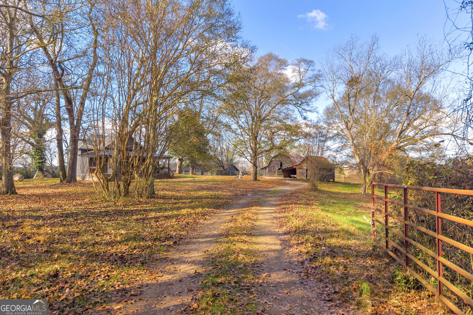 586 Grady School Road Canon - 7