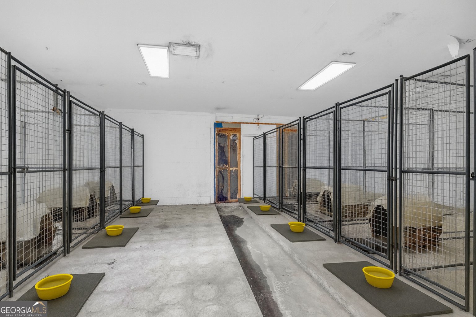 586 Grady School Road Canon - 83