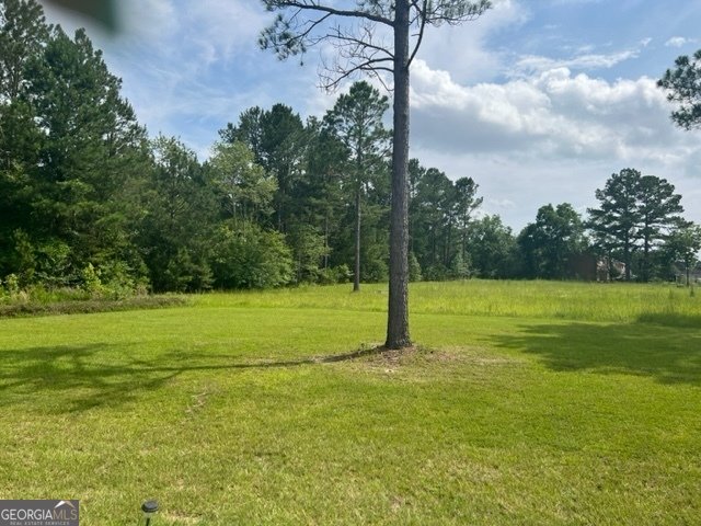 140 Bull Bay Drive Statesboro - 13