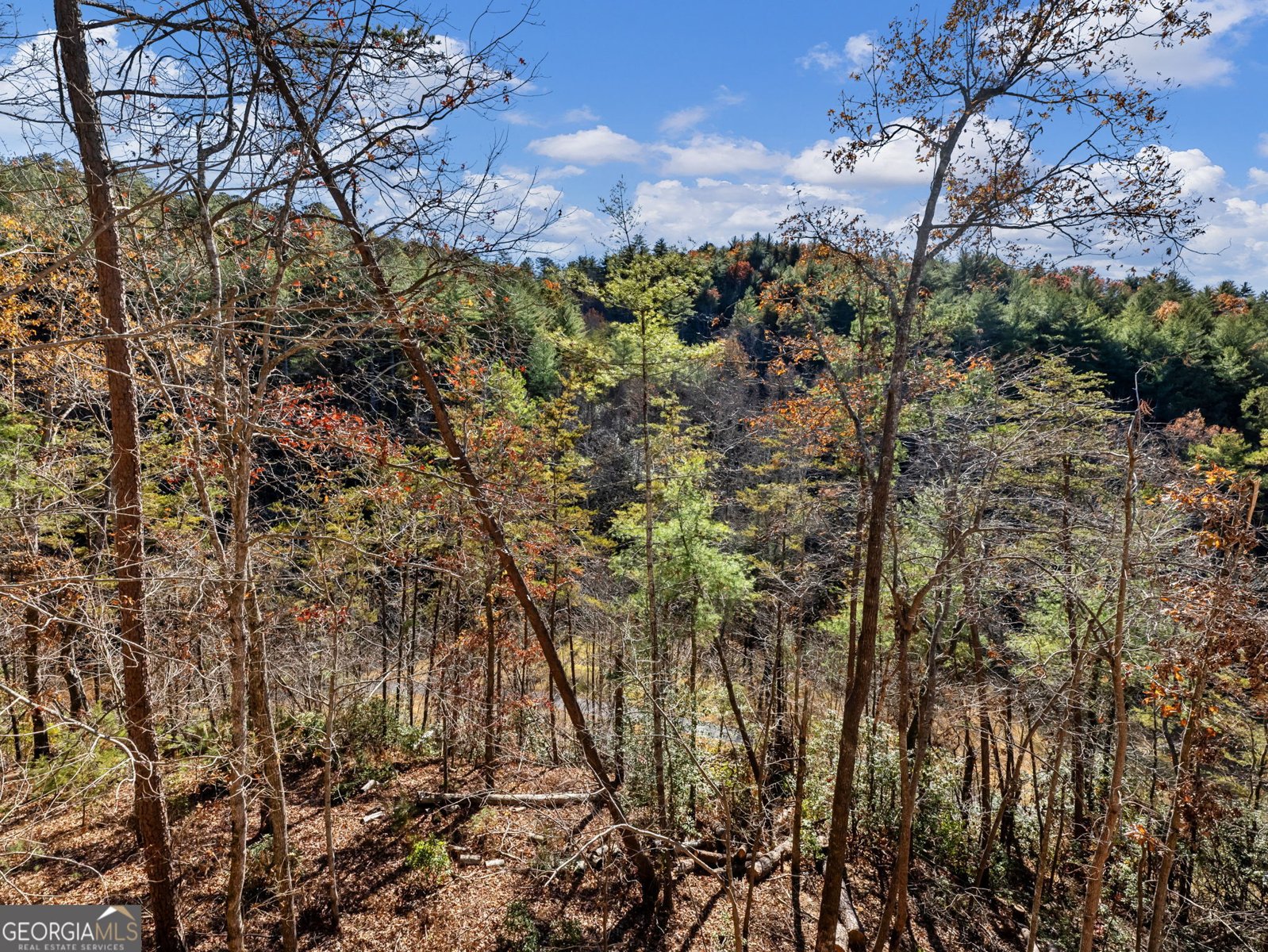 150 Alte Bruecke Strasse Helen - 42