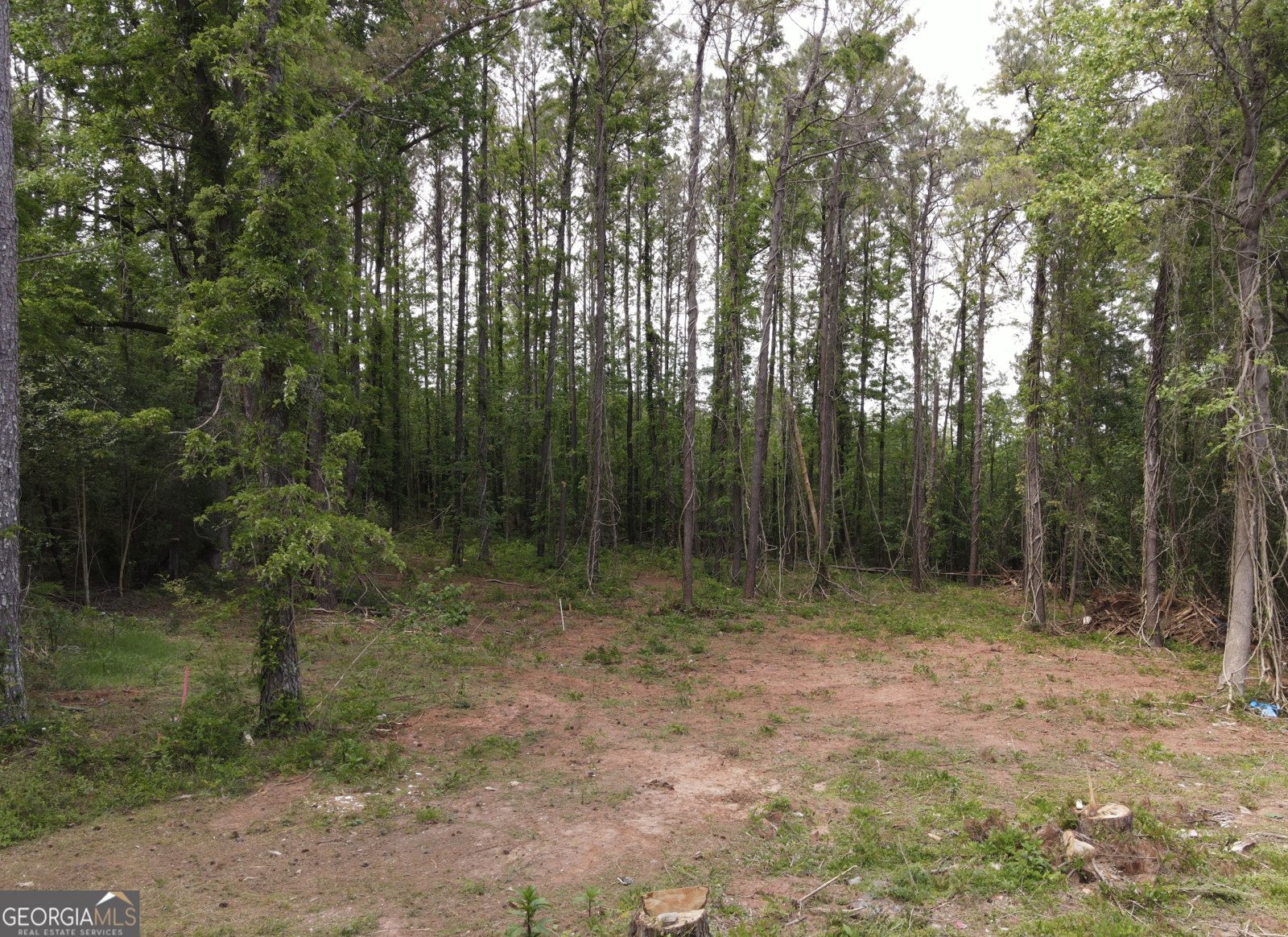 135 Chase Road Lagrange - 20