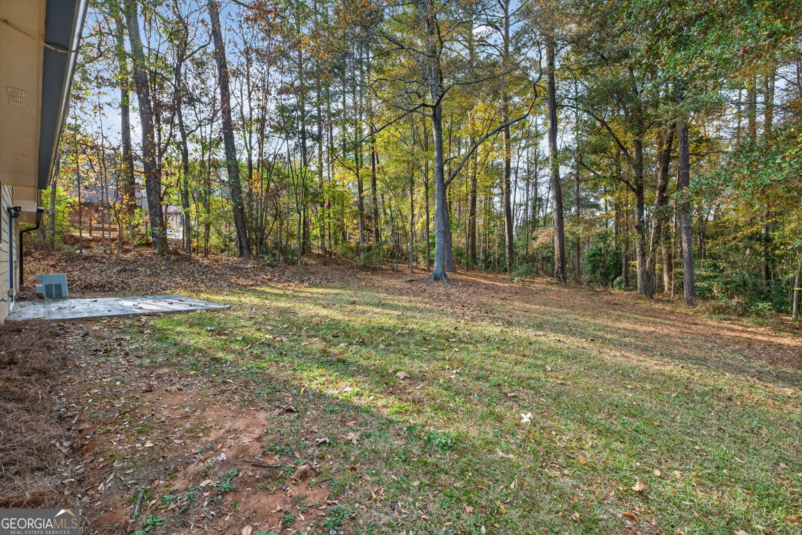 494 Spring Street Social Circle - 27