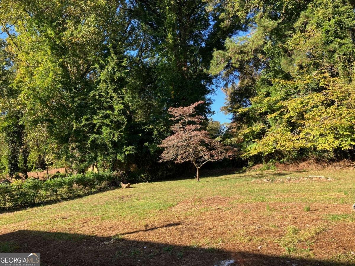 411 Greencove Lane Atlanta - 38