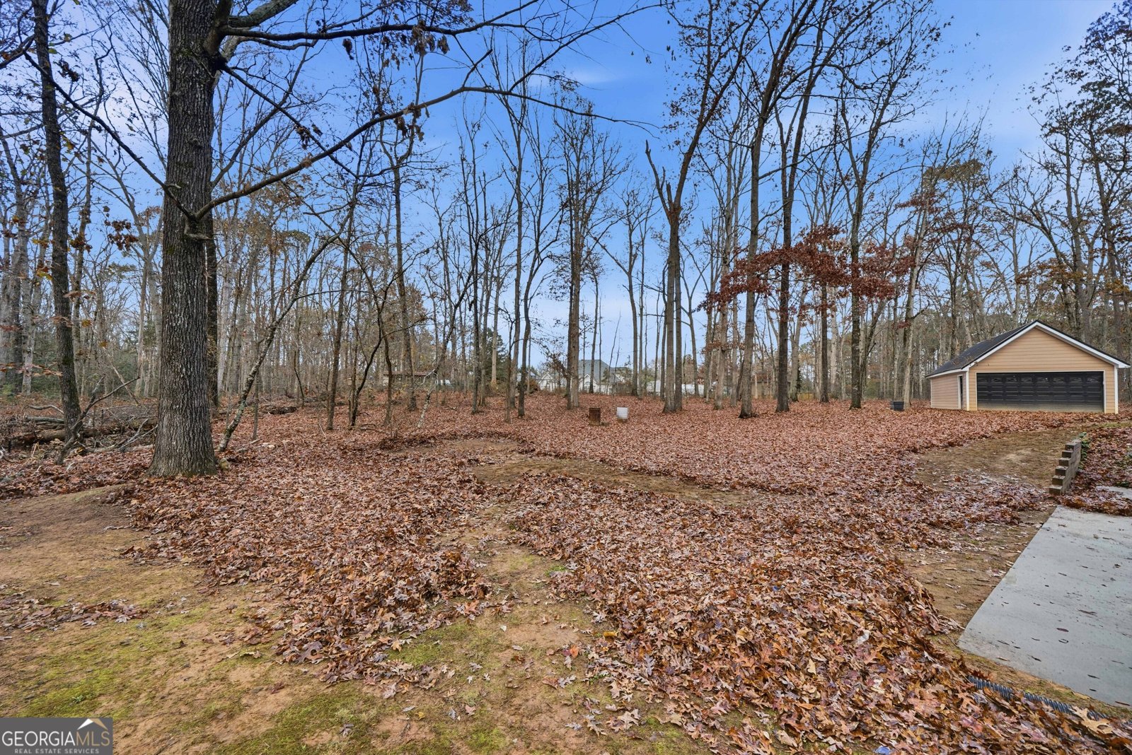 2901 Briscoe Road Loganville - 43