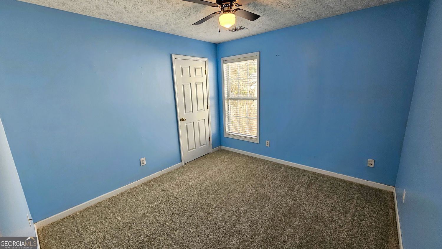 920 Charles Hall Drive Dacula - 19