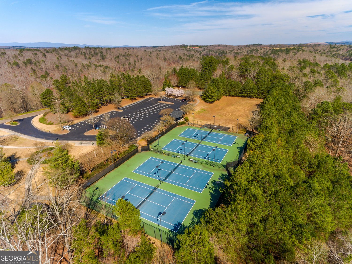 300 Tupelo Trail Canton - 48