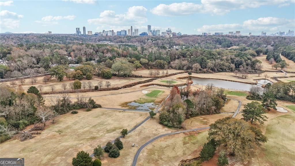 193 Chestnut Circle Atlanta - 49