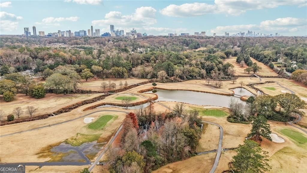 193 Chestnut Circle Atlanta - 53