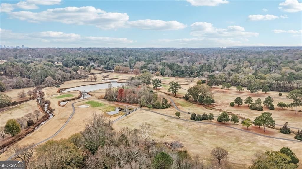 193 Chestnut Circle Atlanta - 55