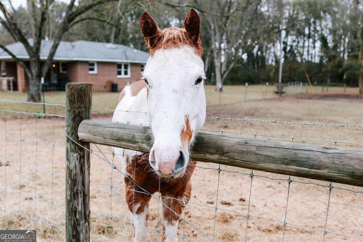 54 Dove Power Road Comer - 41