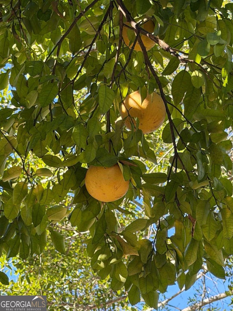 1208 Margaret Waycross - 2