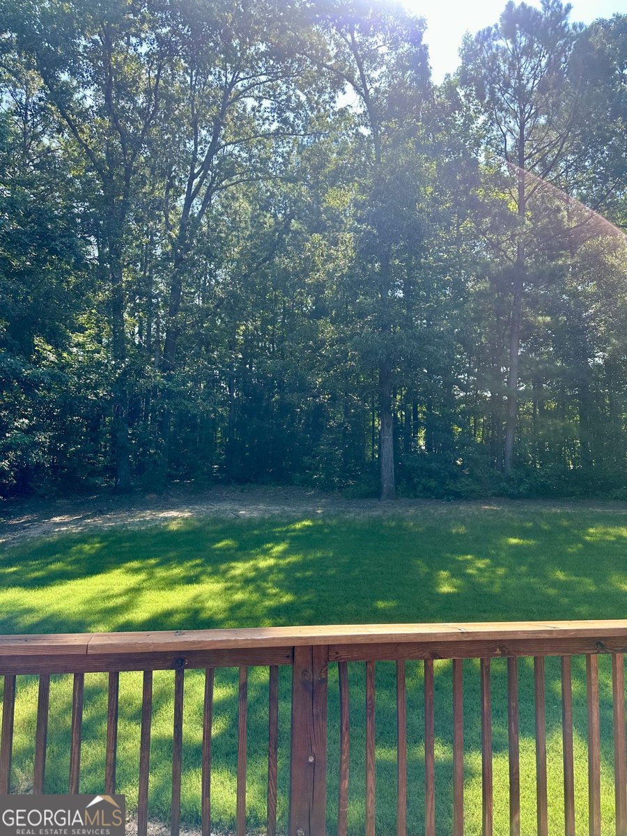 1442 Swiftwater Circle McDonough - 4