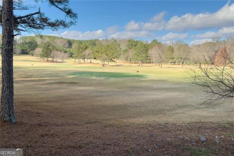 6005 Oakbury Lane Suwanee - 92