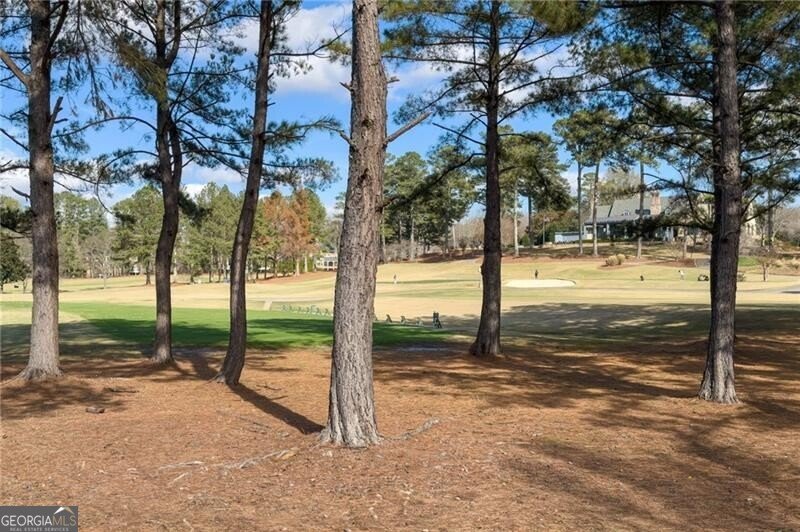 6005 Oakbury Lane Suwanee - 93