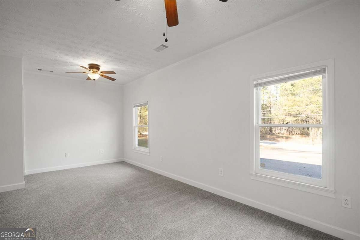 2620 Hodges Mill Road Watkinsville - 16