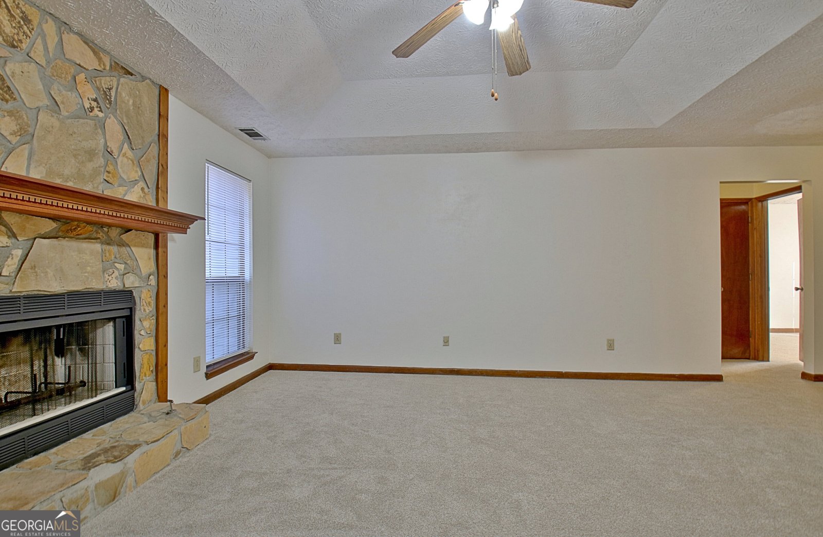 255 Loneoak Drive Senoia - 11