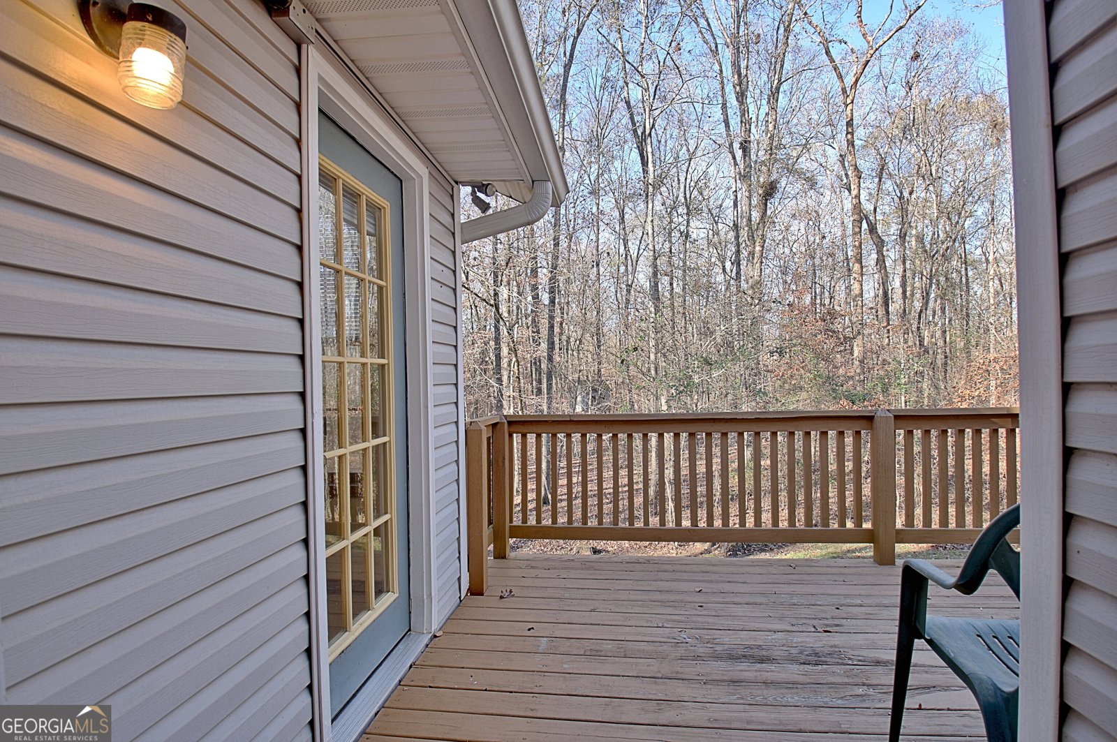 255 Loneoak Drive Senoia - 12