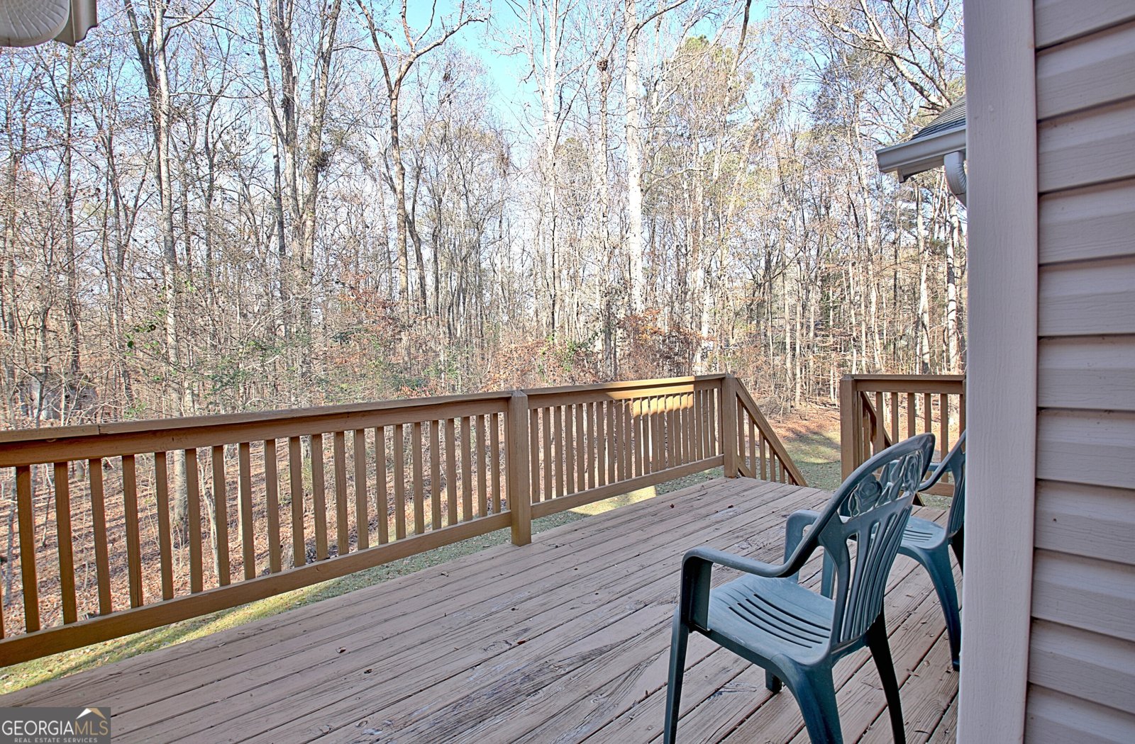 255 Loneoak Drive Senoia - 13