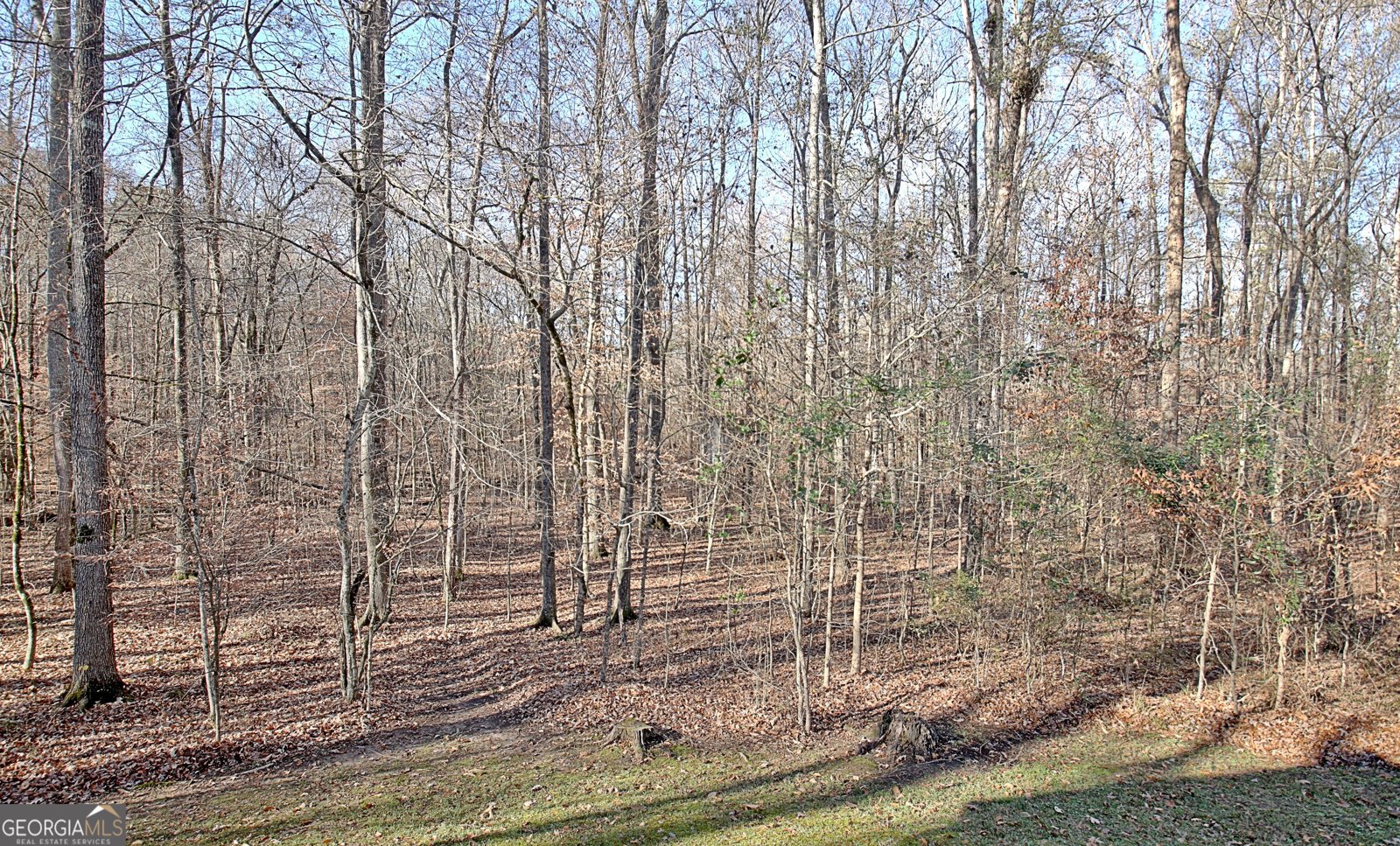 255 Loneoak Drive Senoia - 15