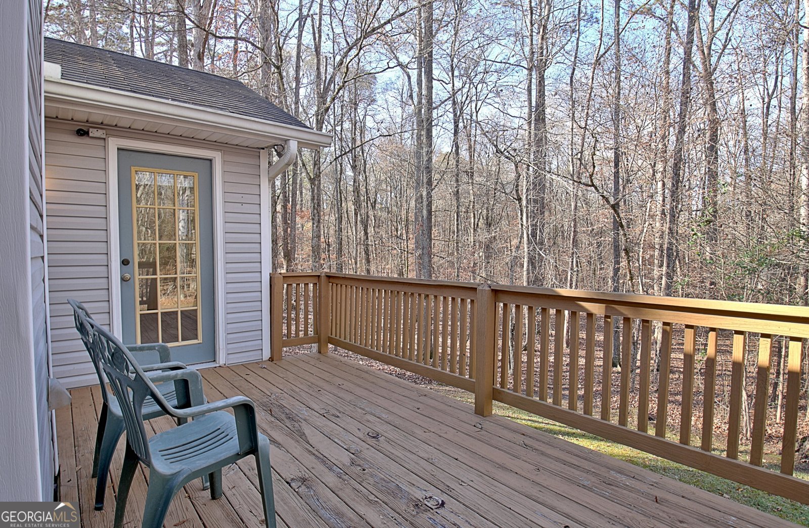 255 Loneoak Drive Senoia - 16