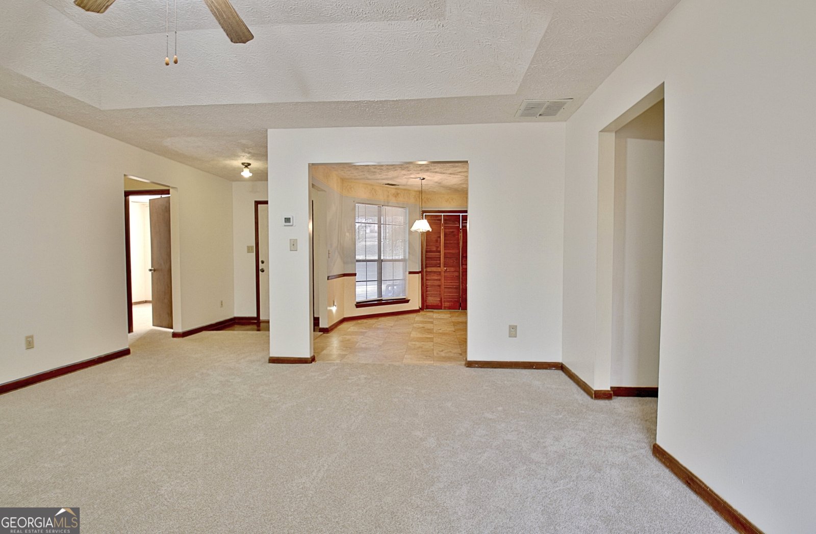 255 Loneoak Drive Senoia - 17