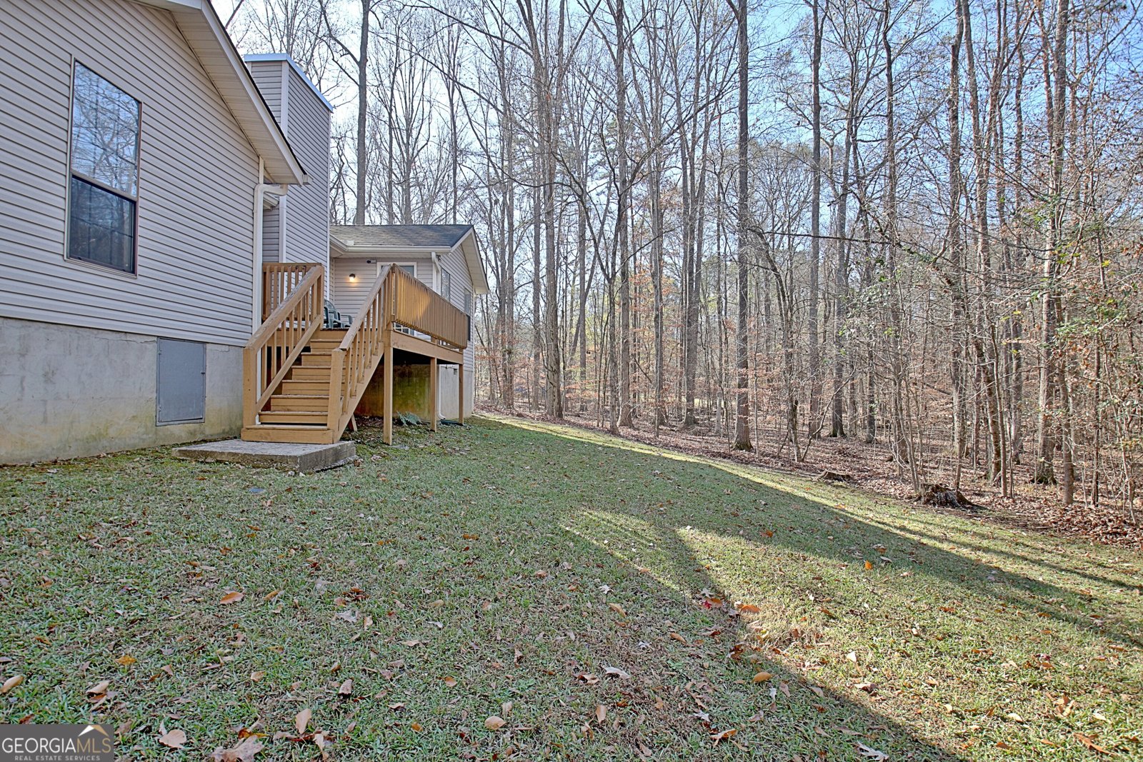 255 Loneoak Drive Senoia - 4