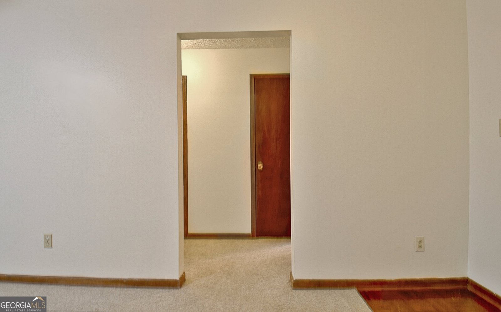 255 Loneoak Drive Senoia - 40