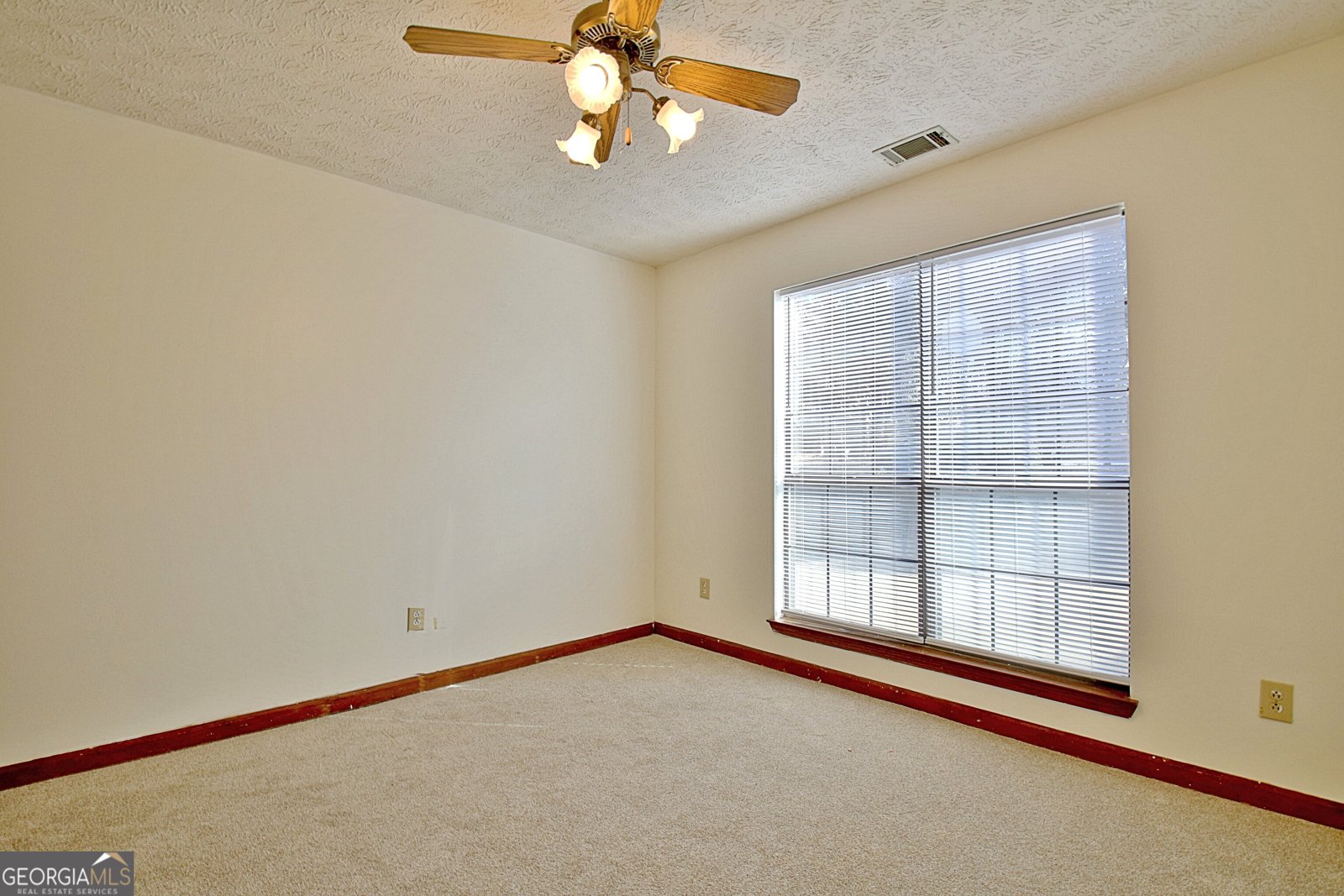 255 Loneoak Drive Senoia - 44