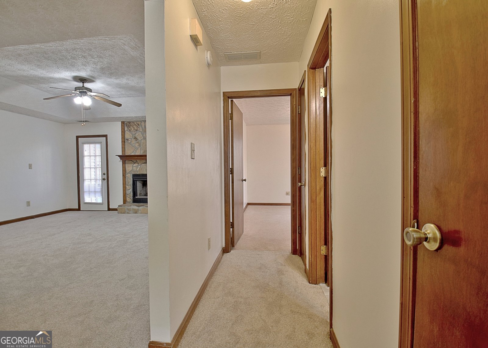 255 Loneoak Drive Senoia - 45