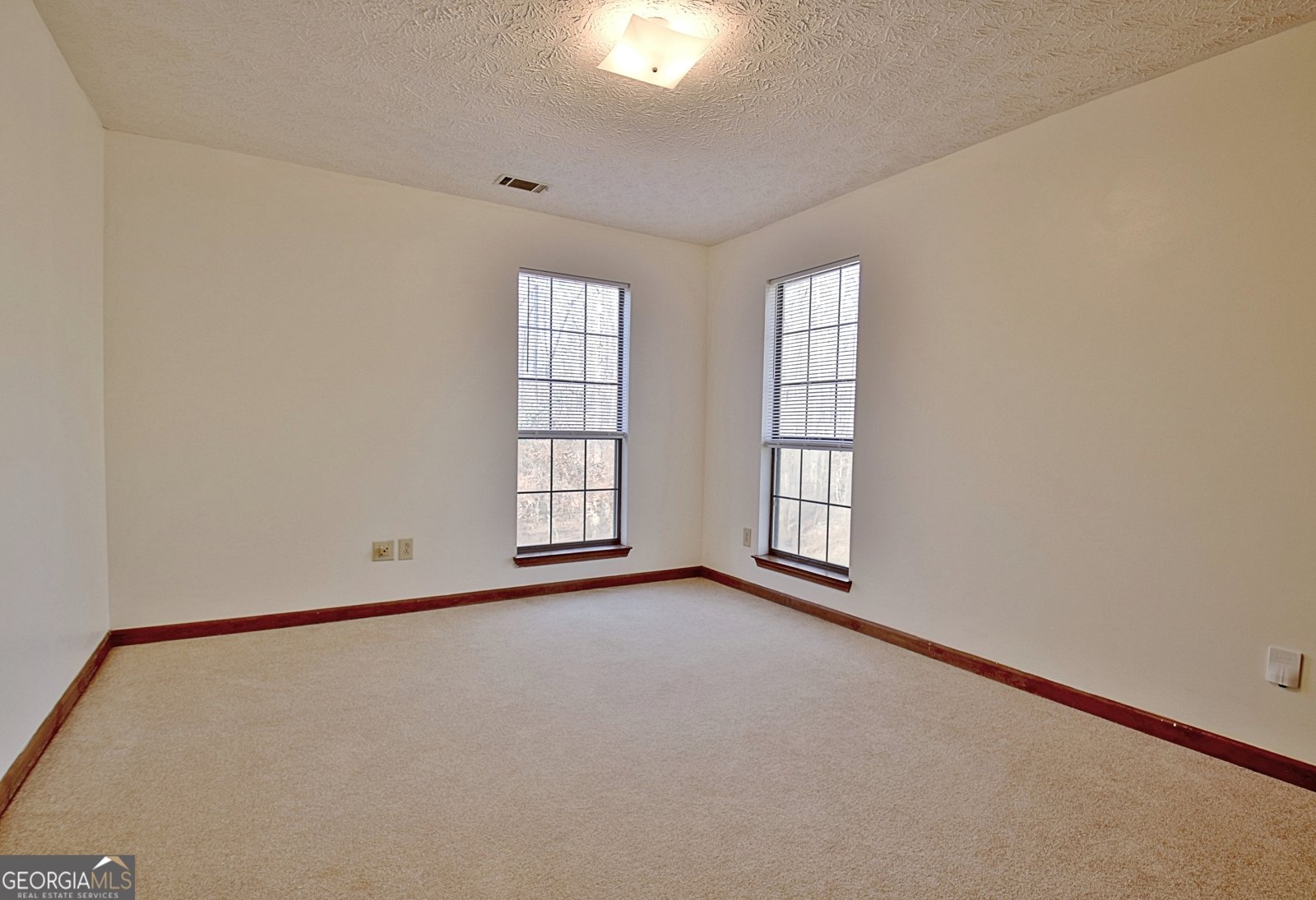 255 Loneoak Drive Senoia - 47