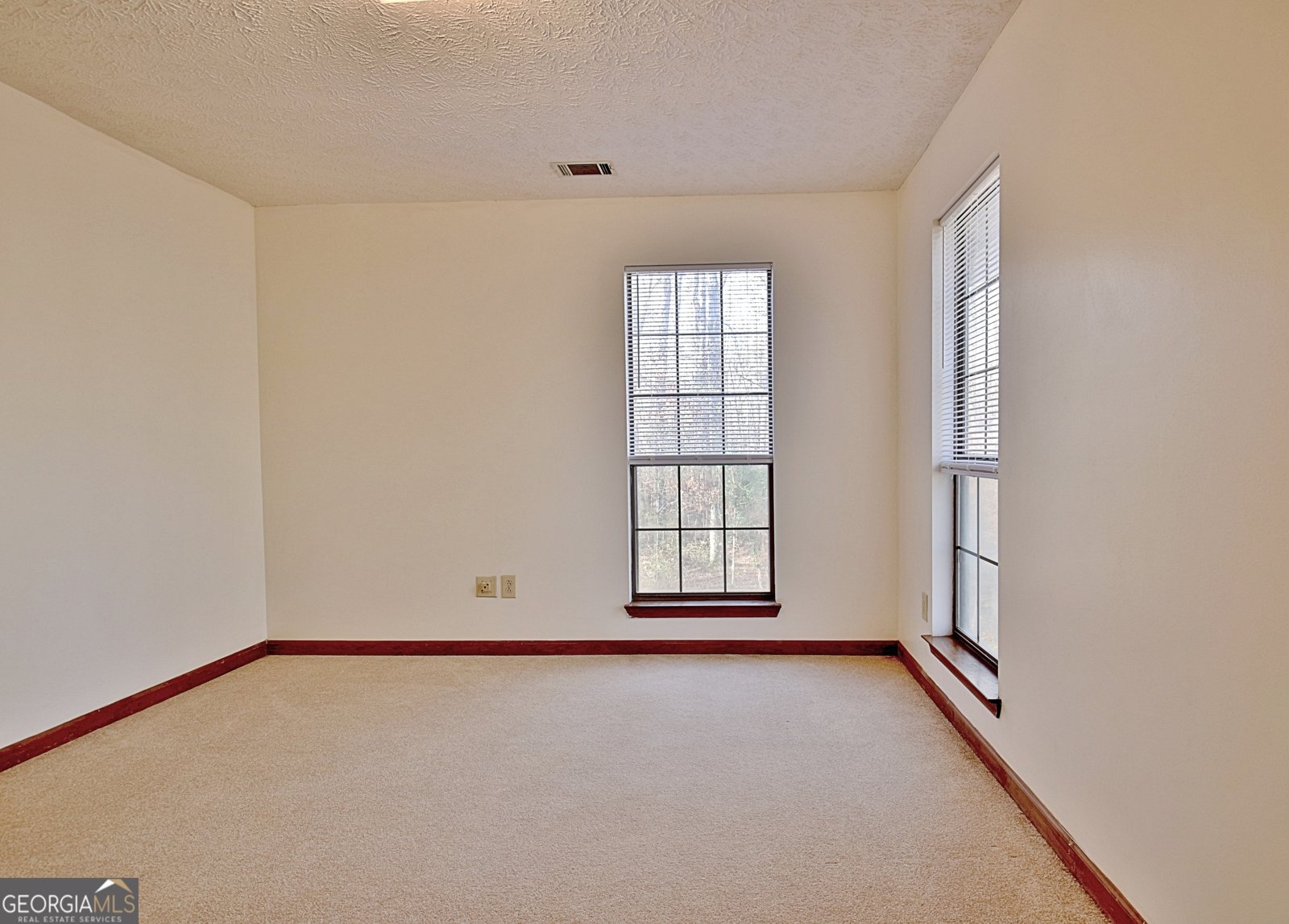 255 Loneoak Drive Senoia - 48