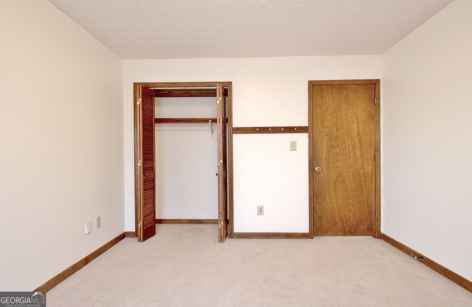 255 Loneoak Drive Senoia - 49