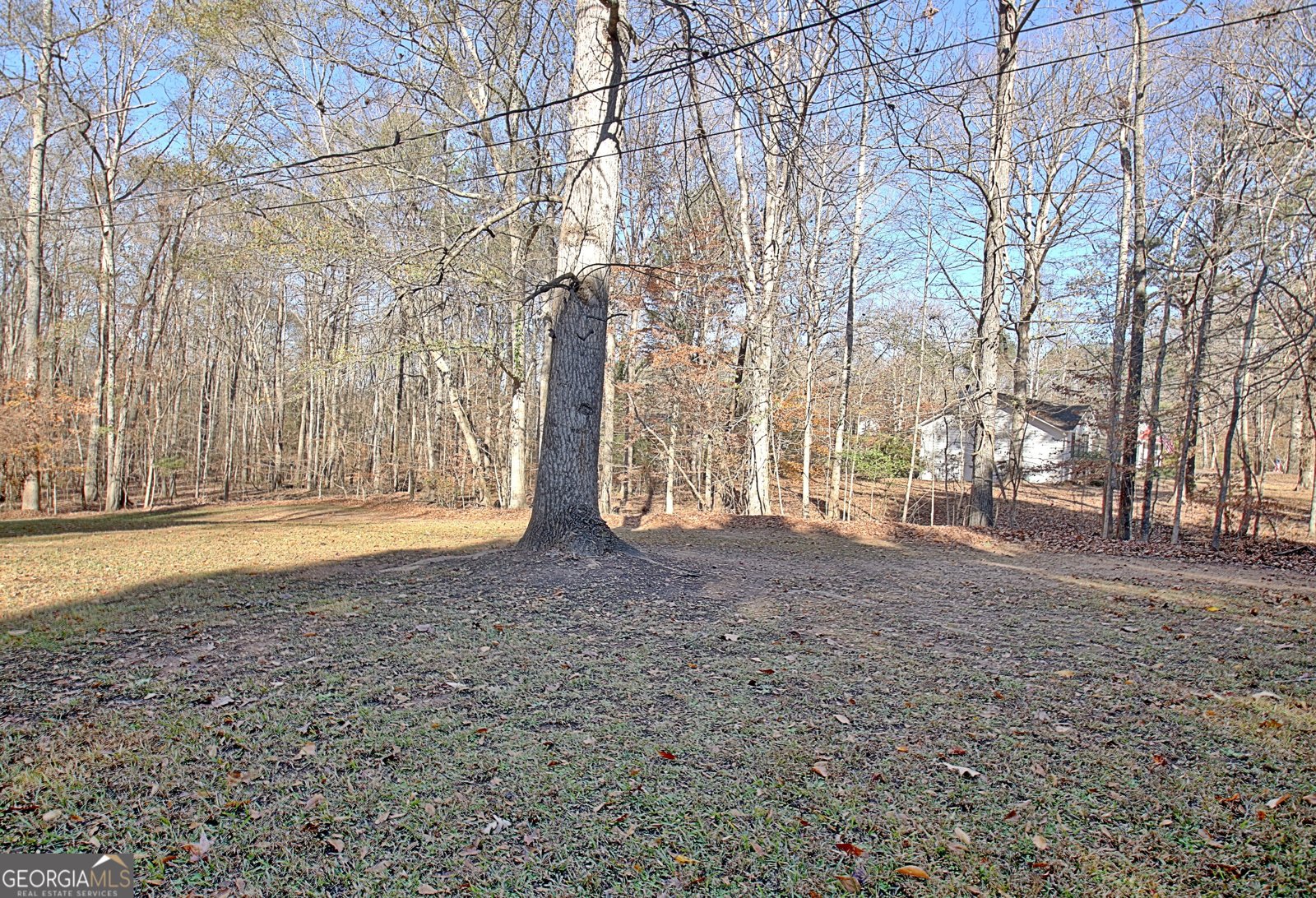 255 Loneoak Drive Senoia - 52