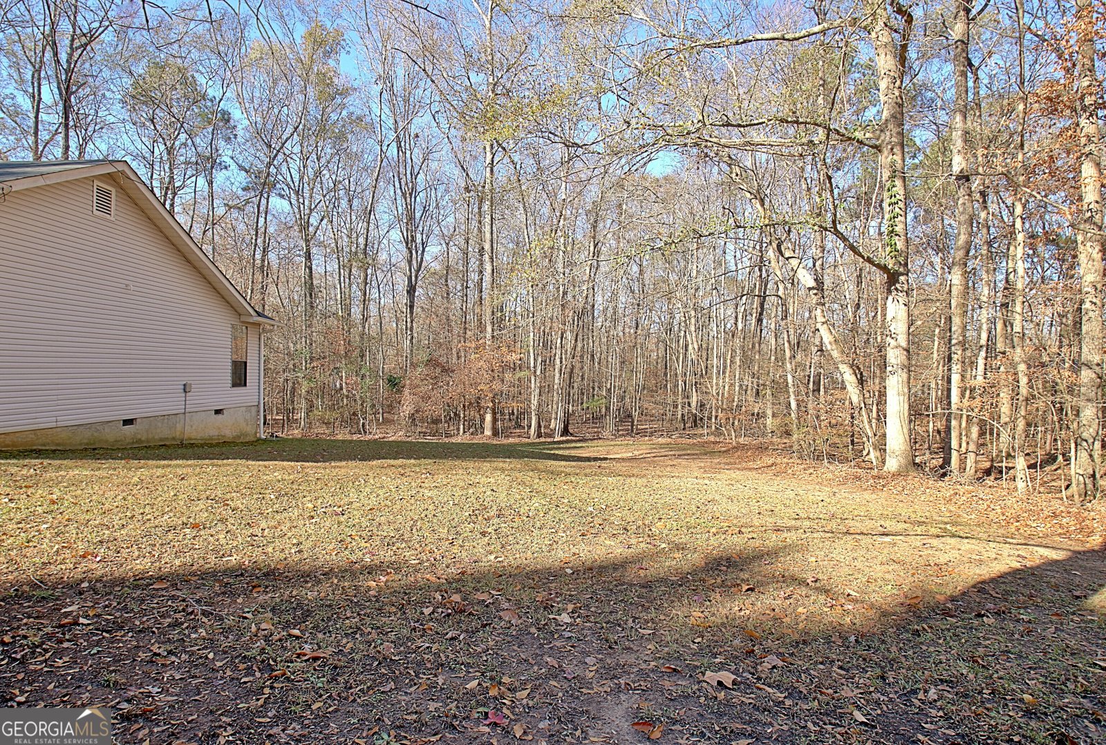 255 Loneoak Drive Senoia - 53