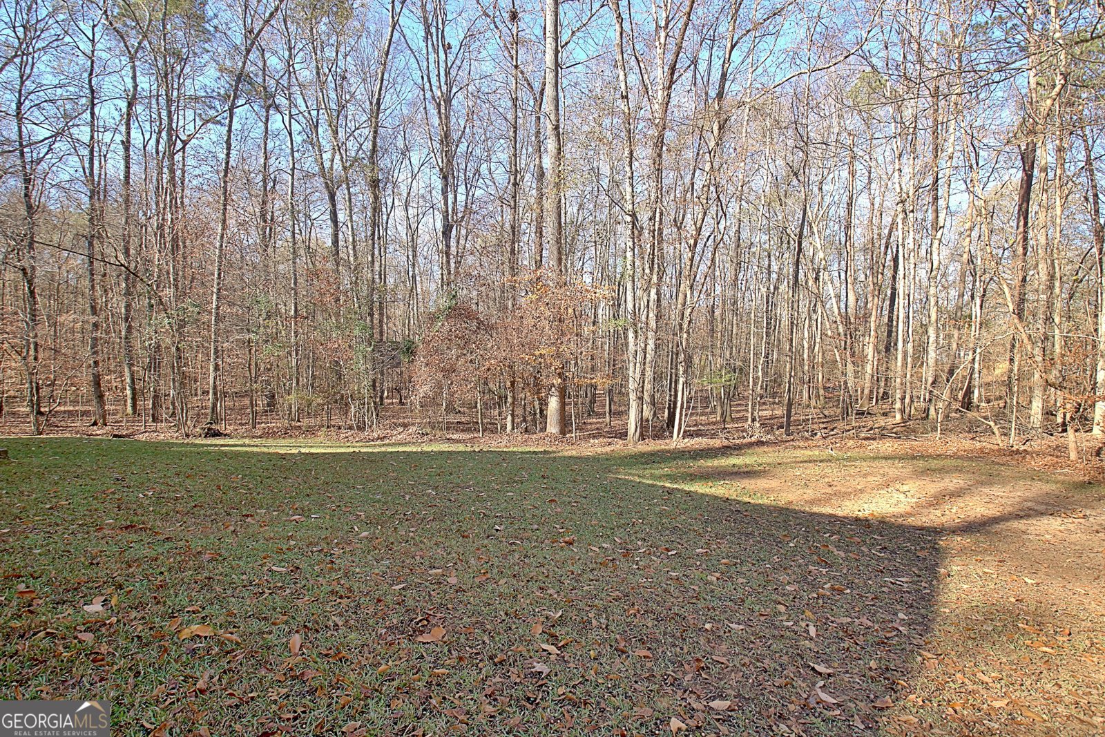 255 Loneoak Drive Senoia - 55