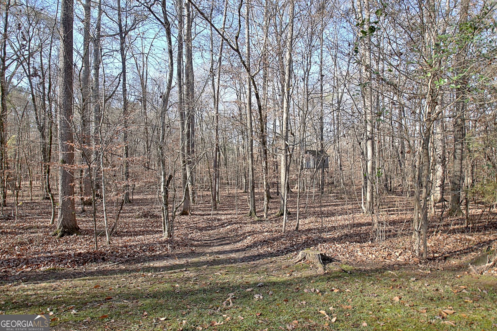 255 Loneoak Drive Senoia - 57