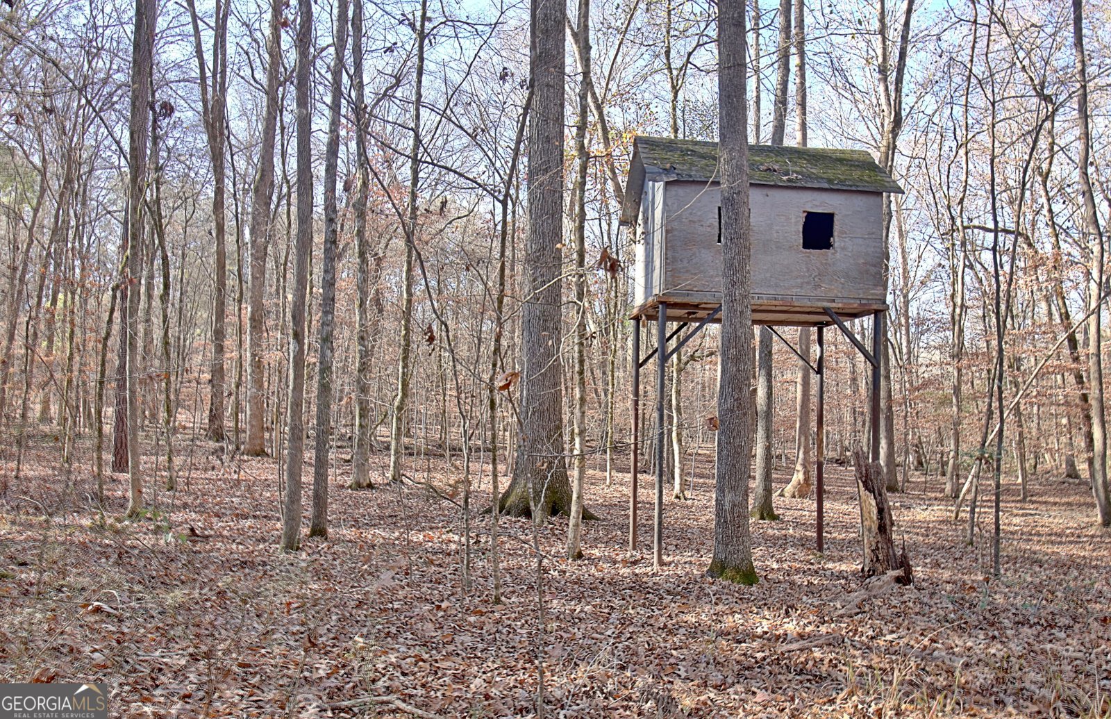 255 Loneoak Drive Senoia - 58