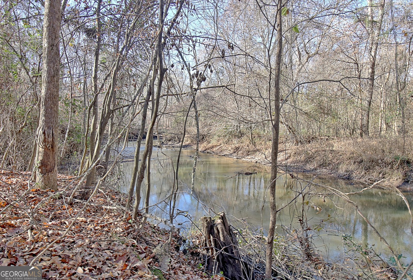 255 Loneoak Drive Senoia - 59