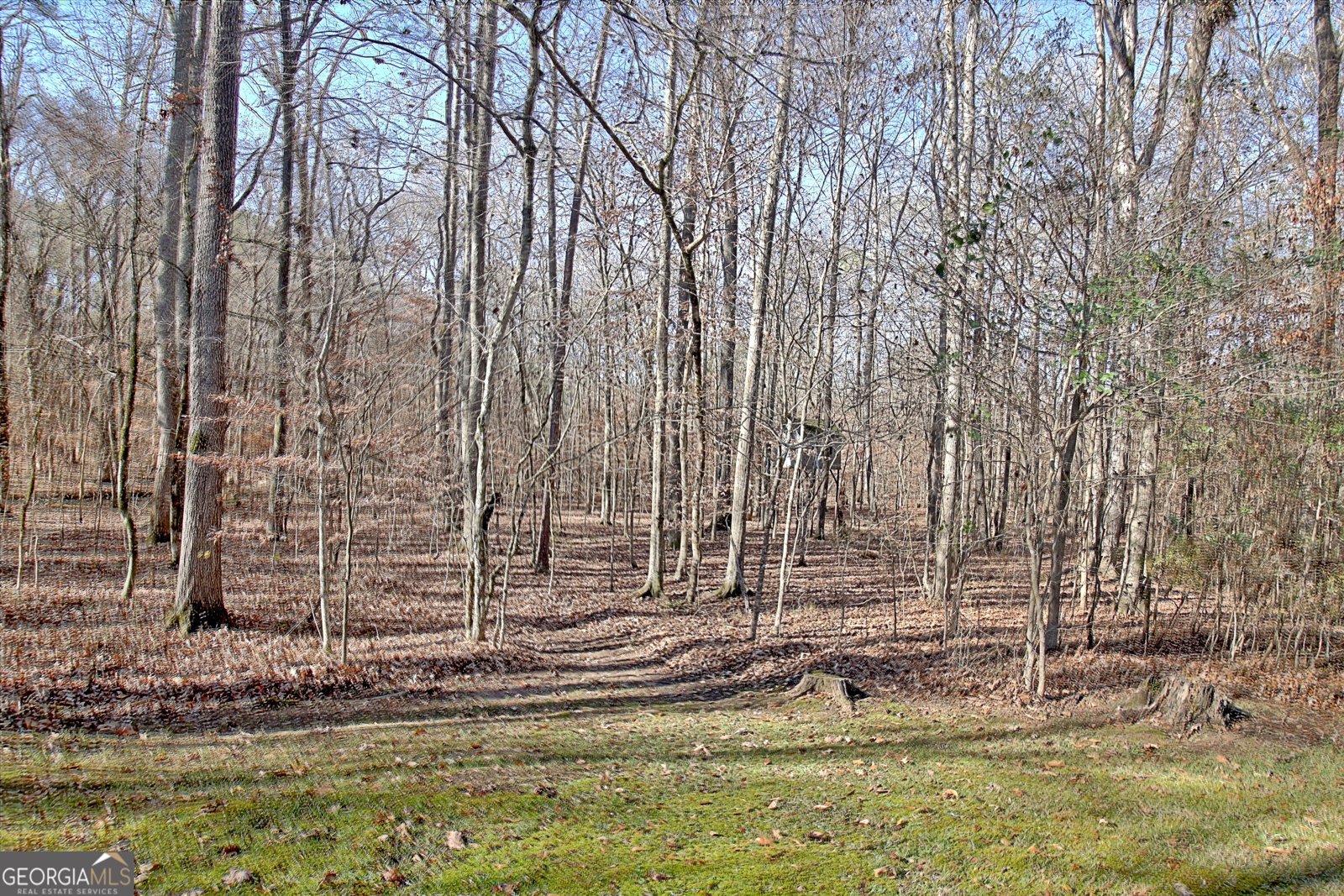 255 Loneoak Drive Senoia - 61