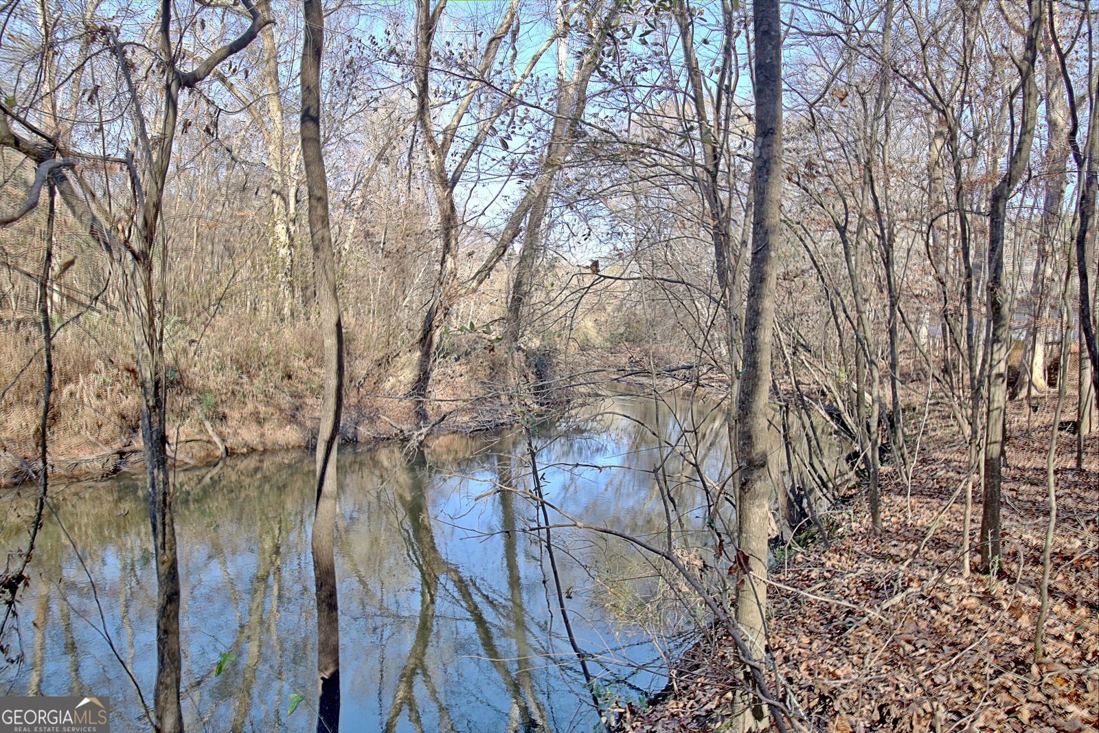 255 Loneoak Drive Senoia - 62