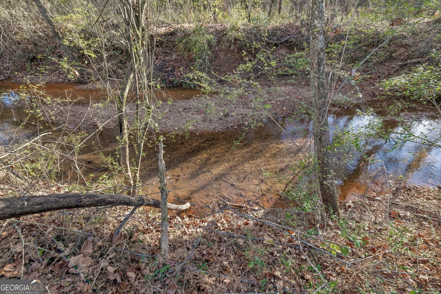 4239 Mangum Mill Road Gainesville - 32