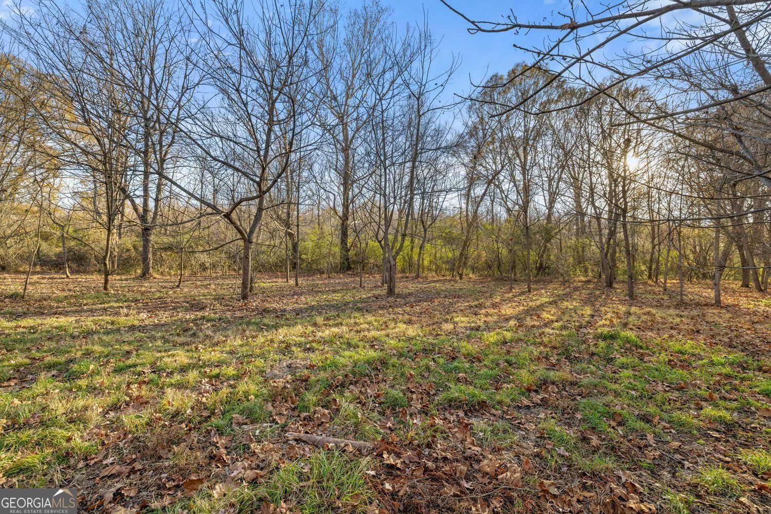 4239 Mangum Mill Road Gainesville - 35