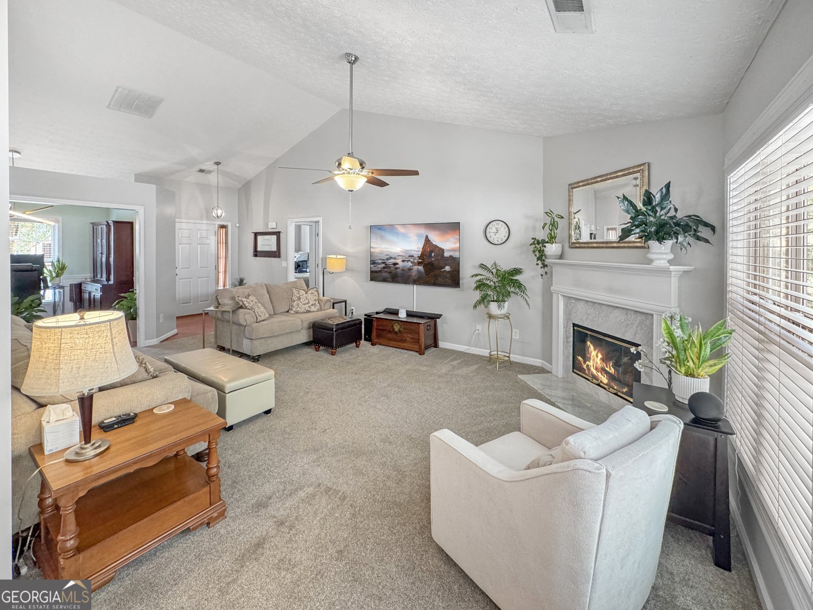 137 Alessie Drive Newnan - 11