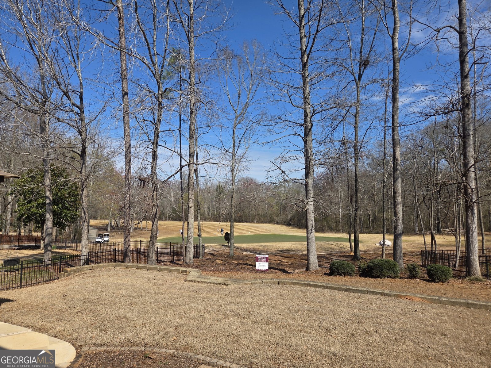 233 Horizon Hill Newnan - Photo 40