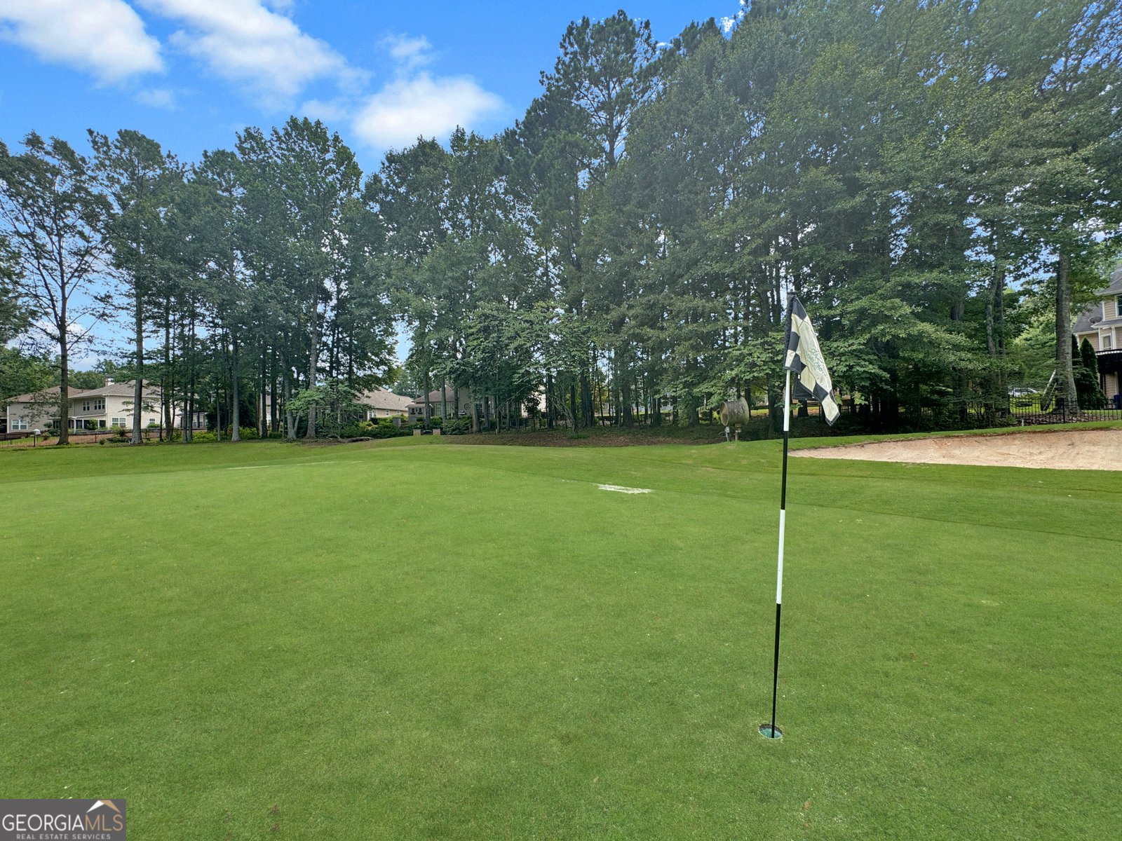 233 Horizon Hill Newnan - 8