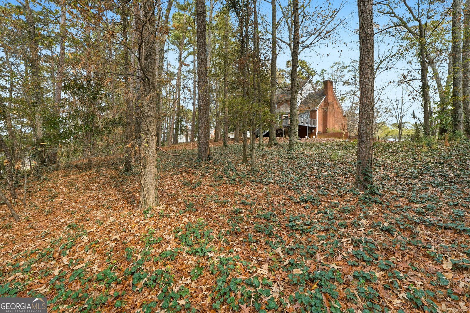 19 Woodview Drive Cartersville - 58