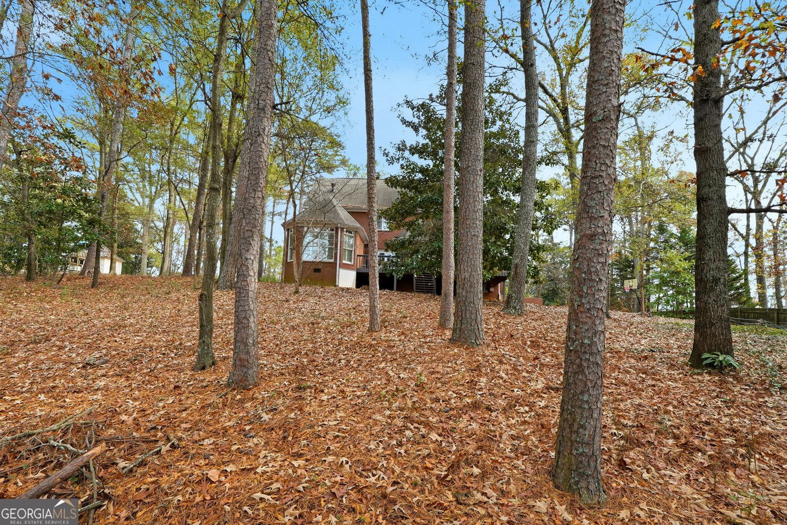 19 Woodview Drive Cartersville - 59